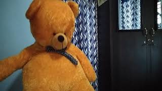 my teddy bear🧸🧸🧸🐻  എന്റെ പാവ