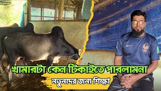 আমার খামার কেন ধরে রাখতে পারলাম না || অন্যের জন্য শিক্ষা || তবু্ও থাকছে সম্ভাবনা