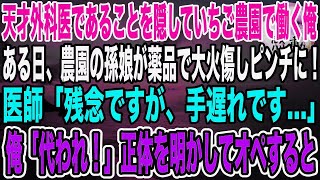 【感動】天才外科医である事を隠していちご農園で働く俺。ある日、農園の孫娘が薬品で大火傷をし救急搬送！医師「こ、これは手遅れだ…」→俺「そんな訳ない！代われ！」神業で手術した結果…