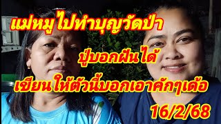 แม่หมูไปทำบุญวัดป่าปู่บอกฝันได้เขียนให้ตัวนี้บอกเอาคักๆเด้อ 16/2/68