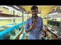 இதுல இவ்வளவு amount வருமா erode jayaraj ajl aquarium petslovechannel