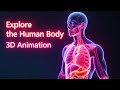 Different types of human body | 3D Learning Lab | Biology