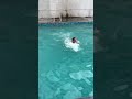 Swimming Pool Moment #shortvideo #lifestyle #viralvideo #dklifeofficial