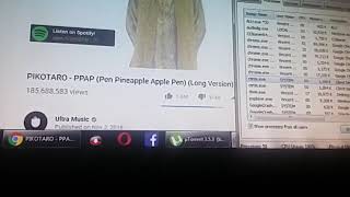 PPAP has BSOD