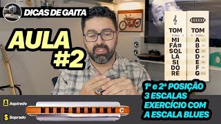 Dicas de Gaita - AULA #2 - 1ª e 2ª posição - Escala Blues com exercício