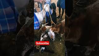 பொம்மிடி ஆட்டு சந்தை ll  வியாழன் ll  தர்மபுரி ll  #Goat Market#goat #goatfarming