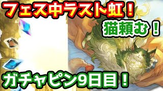 【グラブル】フェス中ラスト虹！猫が引きたいガチャピン期間9日目！【ガチャ動画】