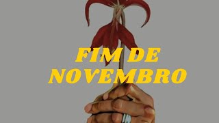 LayLizzy-Fim de Novembro (Lyrics) I #Flor de Lis Album