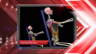 Strength Training & Stretching: Muscle Motion & Anatomy
