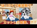 【ぼったくりシリーズ】ぼったくり美容院でカットした結果！？