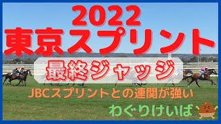 【東京スプリント 2022】最終ジャッジ～JBCスプリントと強い連関