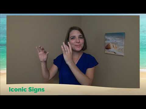 What is a iconic sign in ASL?