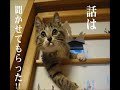 伊集院光　体を緑に塗ったときの話