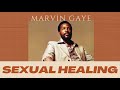 Marvin Gaye - Sexual Healing  (Reggae remix)