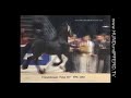 fetse 349 frisian stallion kfps horse journal international report