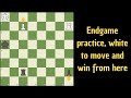 Rook endgame theory by Emanuel Lasker