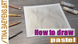 How to draw WHITE FUR with PASTEL pencils & soft pastel TUTORIAL | TinaBaeyensArt