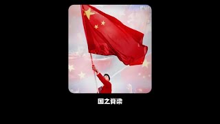 这就是外国人永远无法理解的，独属于中国人的浪漫 #国之脊梁 #中国人的浪漫 #爱国 #致敬英雄