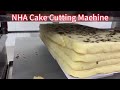 cut Cake with grains Tel/WhatsApp/wechat:+86 13823364587 E-MAIL:info@sznha.com