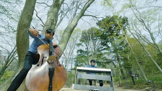 ブナの大木に若葉　六甲高山植物園で秘密のコンサート