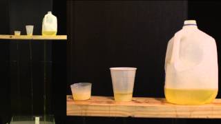 Water Experiment 1: Empty in Same Time Span