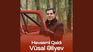 Həvəsmi Qaldı