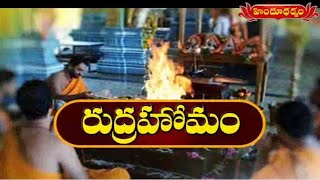 రుద్రహోమం | Rudra Homam Pooja | 16th December 2019 | Hindu Dharmam