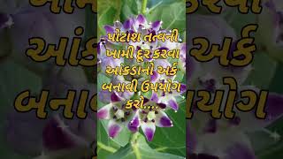 Potash Nutrient Rich Plant પોટાશથી ભરપૂર આંકડો...