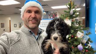 Wes's Weekly Wrap Up - December 25, 2025