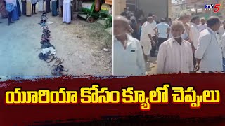 యూరియా కోసం రైతుల తిప్పలు Farmers Facing Problems Due To Shortage Of Urea In Jagtial District | TV5