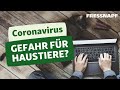 Coronavirus – eine Gefahr für mein Haustier?