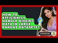 How To Efficiently Handle Missing Data In Large Pandas Datasets? - Python Code School