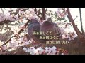 梅原司平「信じられるもの」ライブ版 short ver.