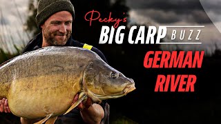Pecky's Big Carp Buzz | German River Carp Fishing