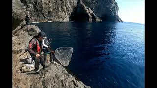 大分グレ釣り！米水津  沖黒  ナガミゾ