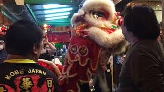 中国の獅子舞(舞獅 - Lion Dance)  〜神戸南京町チャイナタウンで最後のお店にご祝儀をおねだり(お疲れ様でした！)〜【神戸南京町春節祭2020旧歴元日】🦁🐼