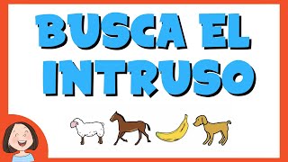 Busca el intruso | Categorías semánticas