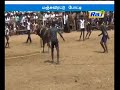 sivagangai manjuvirattu 10 injured in bull attack