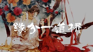 【缘分一道桥】- 王力宏 - 谭维维 【这缘分，像一道桥，旌旗飘啊飘】【动态歌词】【古风】