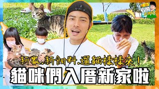 帶三隻貓兒子住進迷你屋！新房，新飼料，遛貓樣樣來【宥勝去哪兒】