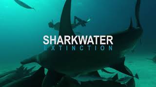 Sharkwater Extinction – Video Teaser