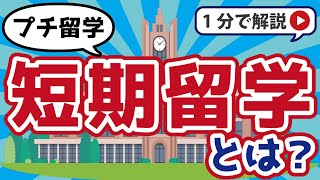 短期留学(プチ留学)の費用や期間を解説！