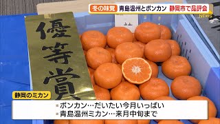 青島温州ミカンとポンカンの品評会「例年よりも糖度が高い」（静岡県）