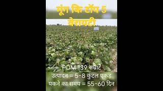 mung ki top 5 variety moong variety / jay_kisan