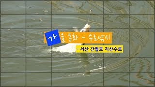 [자연지] 94.가을동화(수로낚시) - 서산 간월호 지산수로(2017.10.17)