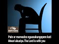 Evangelist T Muparinga -Pain or marwadzo ngaasakunyepere kuti Mwari akusiya.The Lord is with you