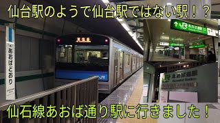 【仙台駅のようで仙台駅ではない駅！？】仙石線あおば通り駅に行きました！