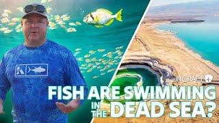 End Times Prophecy Fulfilled - Fish in the Dead Sea? | Jim Scudder | InGrace Discover Hidden Israel