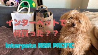 【わんわんWalt】インターペット東京ビッグサイト　購入品紹介！ / interpets 2021 Purchases Introduction