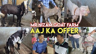 Top Quality Hyderabadi Nasi bakriya available to transport from Mr Nizam Goat Farm Hyderabad